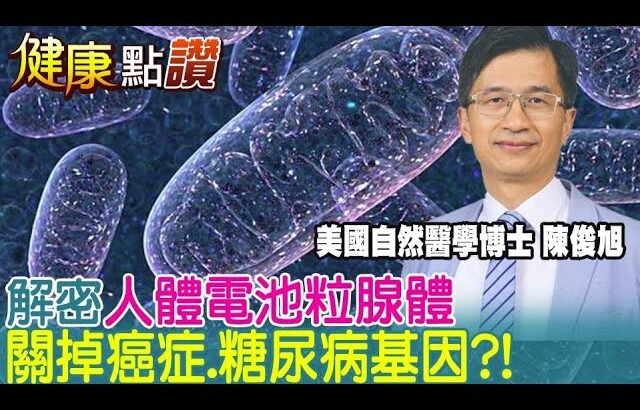 4招強化”粒線體”!不吃藥也能關閉糖尿病.癌症基因?｜健康點讚