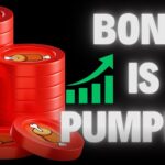 BONE SHIBASWAP HOLDERS: BONE IS PUMPING & SHIBARIUM NEW NFT MARKETPLACE LAUNCHES