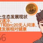 BTC链上生态发展现状- BTC NFT和Brc20无人问津、新型协议遇冷、底层基建发展相对健康【Vic TALK第666期】