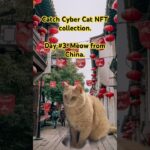 “Catch Cyber Cat” NFT collection is coming soon on OpenSea❗️#nft #opensea #crypto #nfts #ethereum