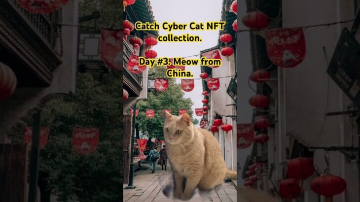 “Catch Cyber Cat” NFT collection is coming soon on OpenSea❗️#nft #opensea #crypto #nfts #ethereum