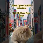 “Catch Cyber Cat” NFT collection is coming soon on OpenSea❗️#nft #opensea #crypto #nfts #ethereum