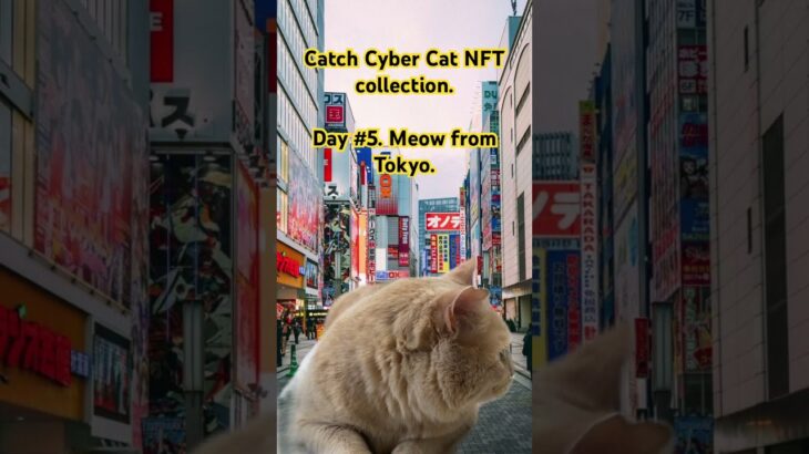 “Catch Cyber Cat” NFT collection is coming soon on OpenSea❗️#nft #opensea #crypto #nfts #ethereum