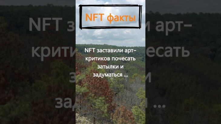 Над чем заставили задуматься NFT арт-критиков?