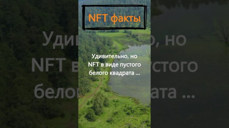 За сколько был продан NFT в виде пустого белого квадрата?