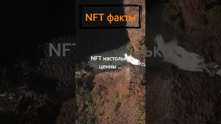 Насколько ценны NFT?