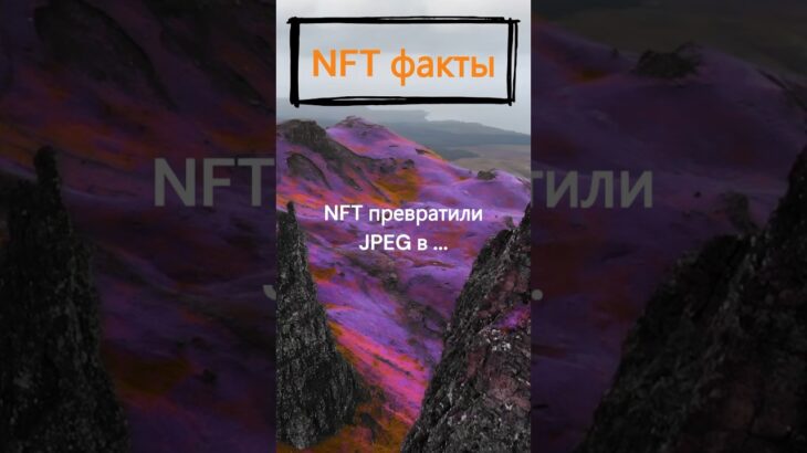 Во что NFT превратили JPEG?