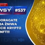 PANDORAGATE ZBIERA ŻNIWA W ŚWIECIE KRYPTO I NFT!!! TO CZ Z BINANCE ZNISZCZYŁ FTX!!!