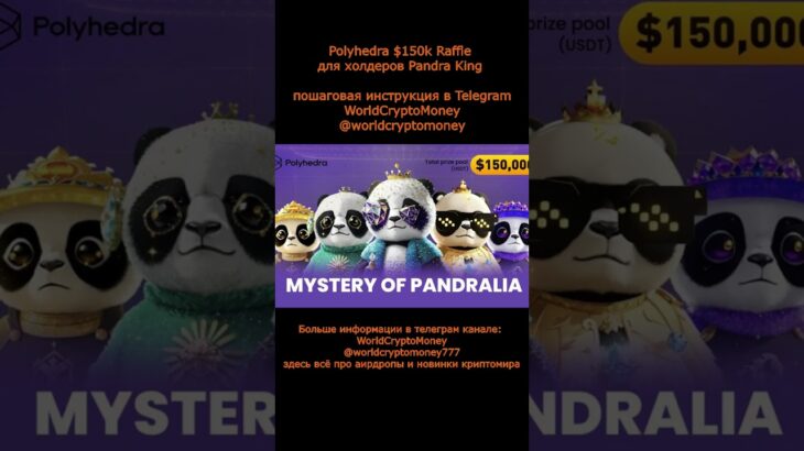 Polyhedra $150k Raffle для холдеров Pandra King #nft #airdrop #нфт #аирдроп