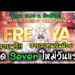 Ragnarok Online Landverse NFT/P2E  เปิด Sever ใหม่วันแรก สายฟรี!! สายลงทุนเงินน้อย ลุย!! LiveสดEp.56