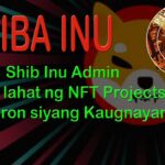 Shiba Inu Admin – Nilinaw na Wala siyang Kaugnayan sa Ibang mga NFT Projects