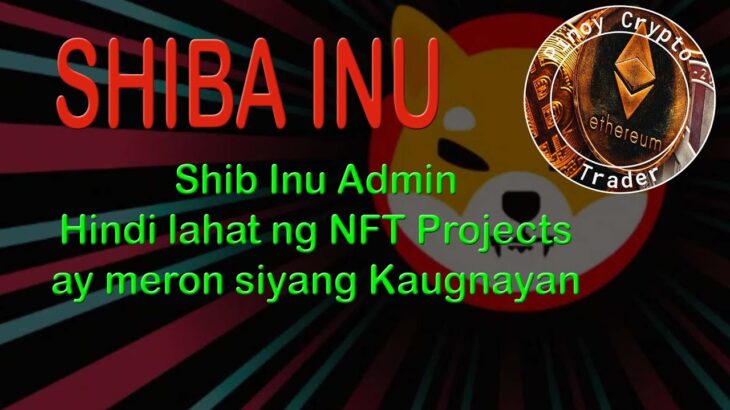 Shiba Inu Admin – Nilinaw na Wala siyang Kaugnayan sa Ibang mga NFT Projects