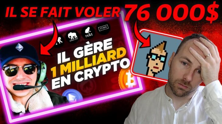 UN CELEBRE CRYPTO EXPERT FR SE FAIT VOLER UN NFT À 76 000$ – ACTU