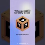 What are NFT Mystery Boxes
