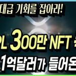 리플 XRP, XRPL 300만 NFT 폭등! 매일 1억달러가 들어온다!  #리플 #리플전망 #리플코인