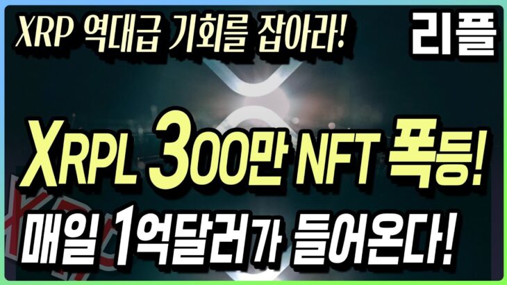 리플 XRP, XRPL 300만 NFT 폭등! 매일 1억달러가 들어온다!  #리플 #리플전망 #리플코인