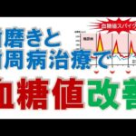 糖尿病と歯周病の関係性をわかりやすく解説。歯周病治療と血糖値のコントロールを同時に進めれば必ず改善します。