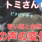 ３９日目／４９日【糖尿病老猫の旅立ち】忘れていた若かりし頃の鳴き声！声にも張りとツヤが！