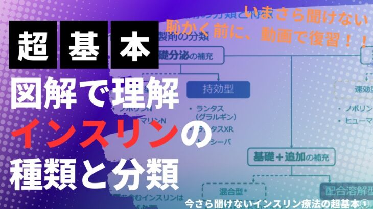 【糖尿病】超簡単復習！図解公開！今さら聞けないインスリン療法の超基本①