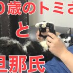 ４３日目／４９日【糖尿病老猫の旅立ち】いつも仲良しの２人。どっちが相手をしてあげてるんでしょうか(笑)