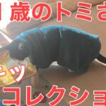 ４９日目／４９日【糖尿病老猫の旅立ち】妖怪毛布猫！２１歳の夏もドテッっとやってました！