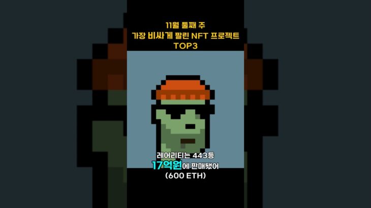 11월 둘째 주 가장 비싸게 팔린 NFT 프로젝트 TOP3 #Shorts, #쇼츠 #bayc #cryptopunks #azuki