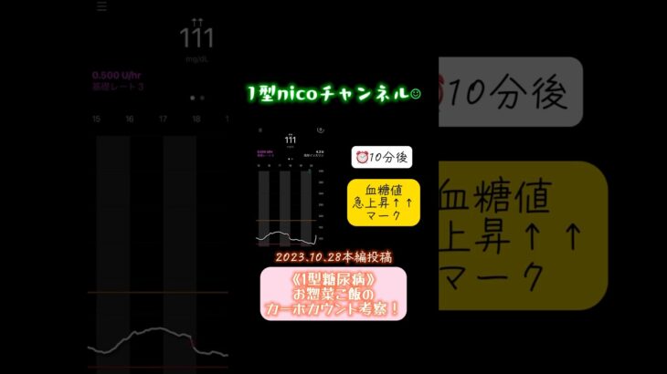 《1型糖尿病》お惣菜ご飯のカーボカウント考察！【1型nicoチャンネル】2023.10.28本編投稿♩ #1型糖尿病 #糖尿病 #カーボカウント