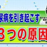 2型糖尿病を引き起こす 3つの原因(健康カプセル！ゲンキの時間)