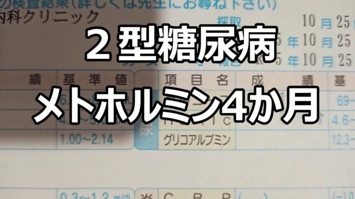 2型糖尿病メトホルミン４か月