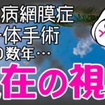 【祝☆チャンネル登録2000人】糖尿病網膜症で硝子体手術から10年後の視界について！