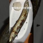 新物秋刀魚定食を食べる糖尿病　心筋梗塞手術後274日目　朝ご飯　#心筋梗塞 #糖尿病 #糖尿クック #生活習慣病 #料理 #動脈硬化 #闘病