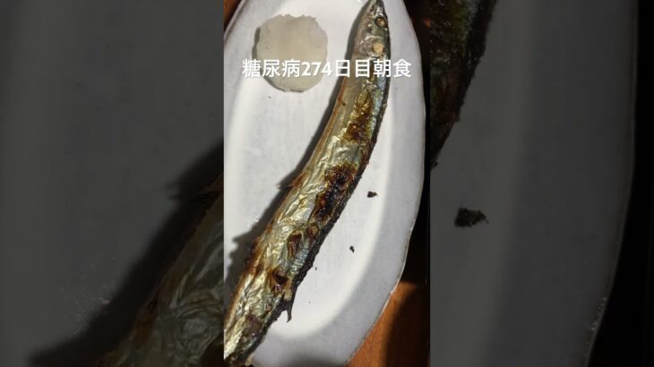 新物秋刀魚定食を食べる糖尿病　心筋梗塞手術後274日目　朝ご飯　#心筋梗塞 #糖尿病 #糖尿クック #生活習慣病 #料理 #動脈硬化 #闘病