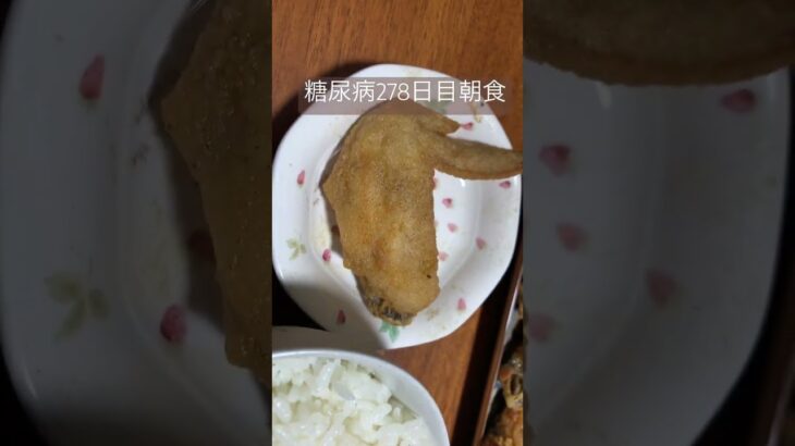 世界糖尿病デーに向けて世界の山ちゃんとカレーうどんを食べる糖尿病　心筋梗塞手術後278日目　朝ご飯　#糖尿病 #糖尿病予防 #糖尿クック #世界の山ちゃん #闘病 #闘病生活 #心筋梗塞