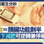 糖尿病與年齡及肥胖之關係｜糖尿＝胰島素阻抗 確診即胰臟功能剩一半！體脂與血糖問題成正比 超重糖尿病風險升40%肥胖更激增3倍！減肥可逆轉糖尿兼停藥！｜王建芳醫生 內分泌科醫生袁美欣醫生｜人類健康研究所