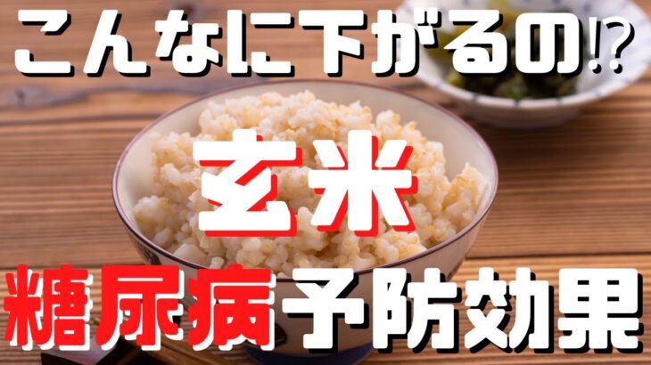 【糖尿病予防】玄米の糖尿病予防効果5選」！管理栄養士からあなたへ【 Mai’s TV】