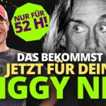 Das bekommst du jetzt für deinen Iggy NFT! (nur für 52 Stunden)