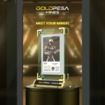 🚨 GOLDMINER NFT REVEAL🚨