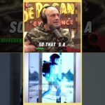 Joe Rogan on Beeple NFT art sam bankman-fried FTX  in jail and Binance CEO Changpeng Zhao