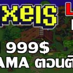 [ LIVE ] Pixels Online (Game NFT) : ซื้อ Land ดีกว่า สายฟรีถามได้ EP.10