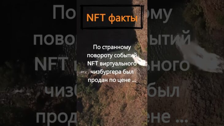 За сколько был продан NFT виртуального чизбургера?