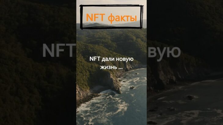 Кому NFT дали новую жизнь?