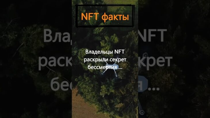 Как владельцы NFT раскрыли секрет бессмертия?