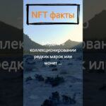 За чем сейчас охотятся энтузиасты NFT?