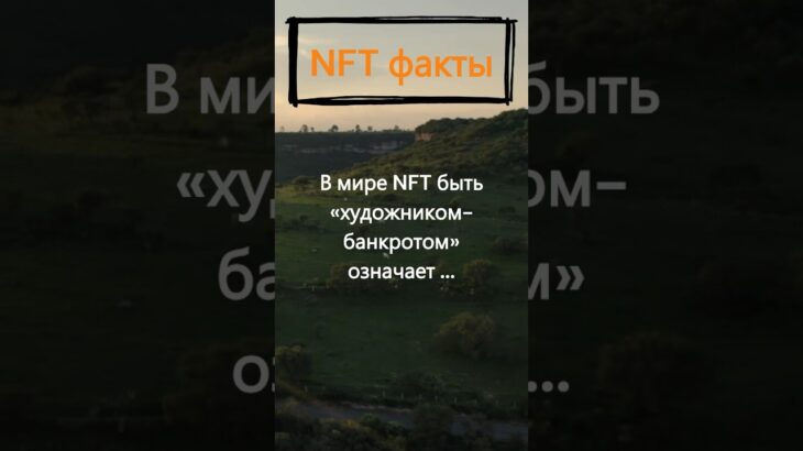 Что означает быть художником-банкротом в мире NFT?