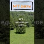 В чем уникальность NFT?