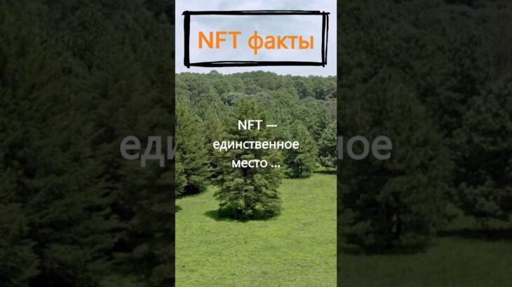 В чем уникальность NFT?