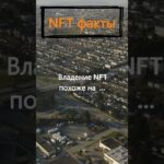 На что похоже владение NFT?