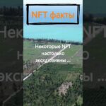 Насколько эксклюзивны некоторые NFT?