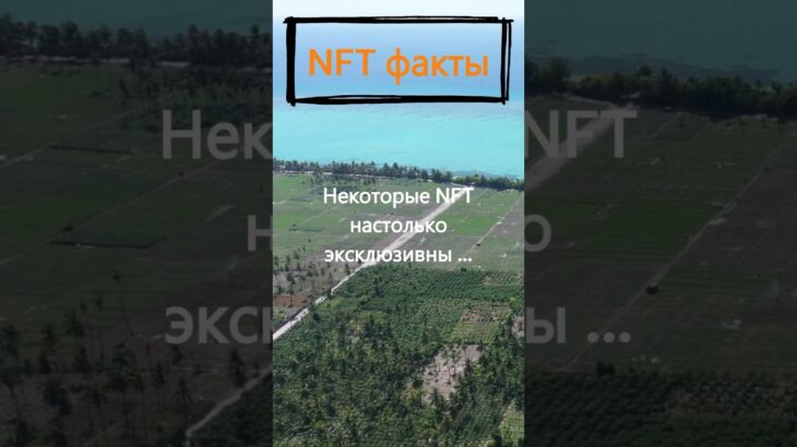 Насколько эксклюзивны некоторые NFT?