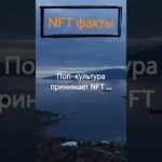 Что доказывает поп-культура в отношении NFT?